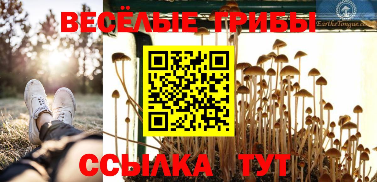 Галлюциногенные грибы GOLDEN TEACHER  Псилоцибиновые грибы Psilocybine cubensis  Вход с VPN  Саянск 